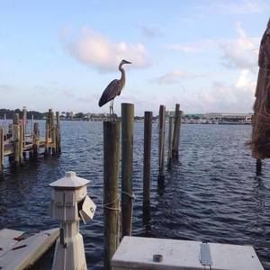 Meet your Posher, Beverly